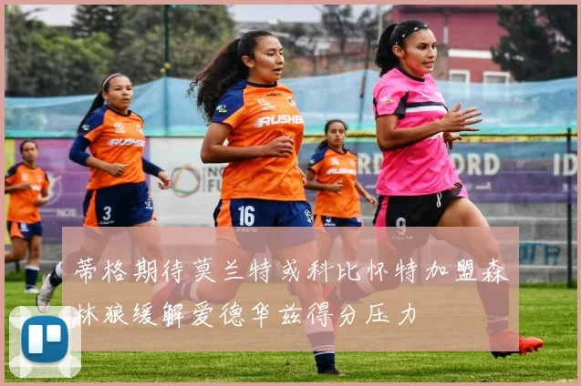 蒂格期待莫兰特或科比怀特加盟森林狼缓解爱德华兹得分压力